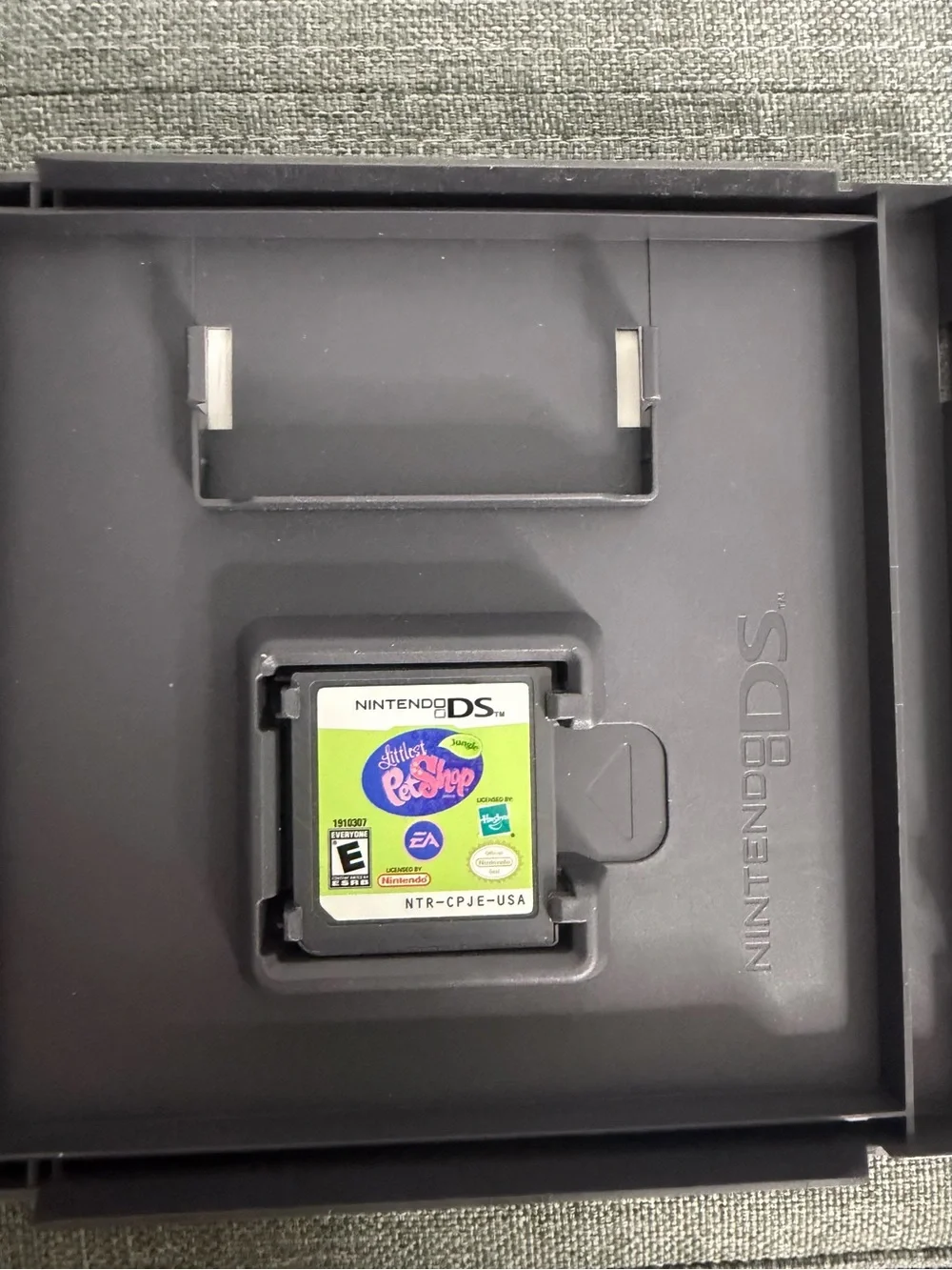 Nintendo platform ds